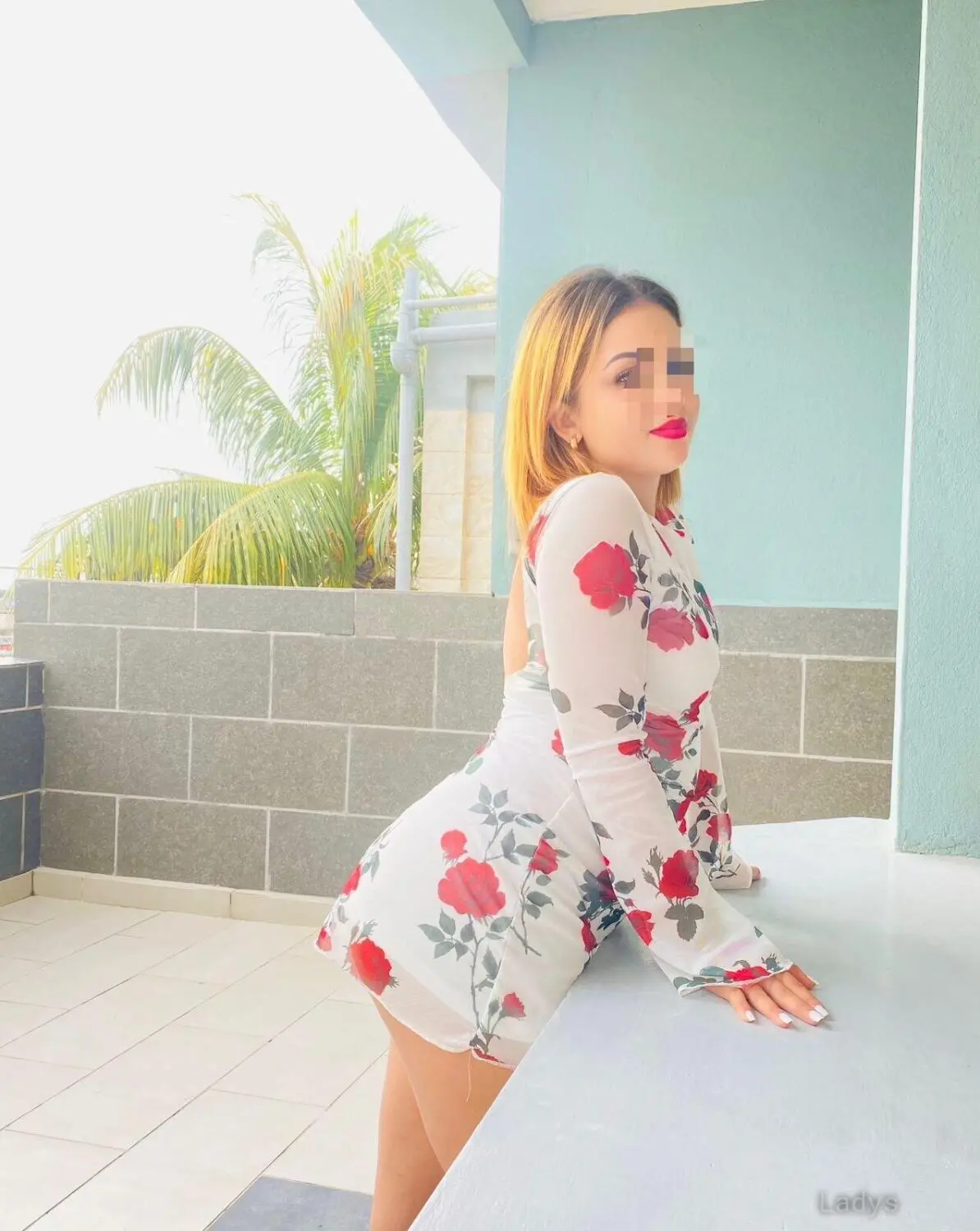 Priscilla, 21 years brunette escorts in Colombo, height 160 sm, Weight  kg