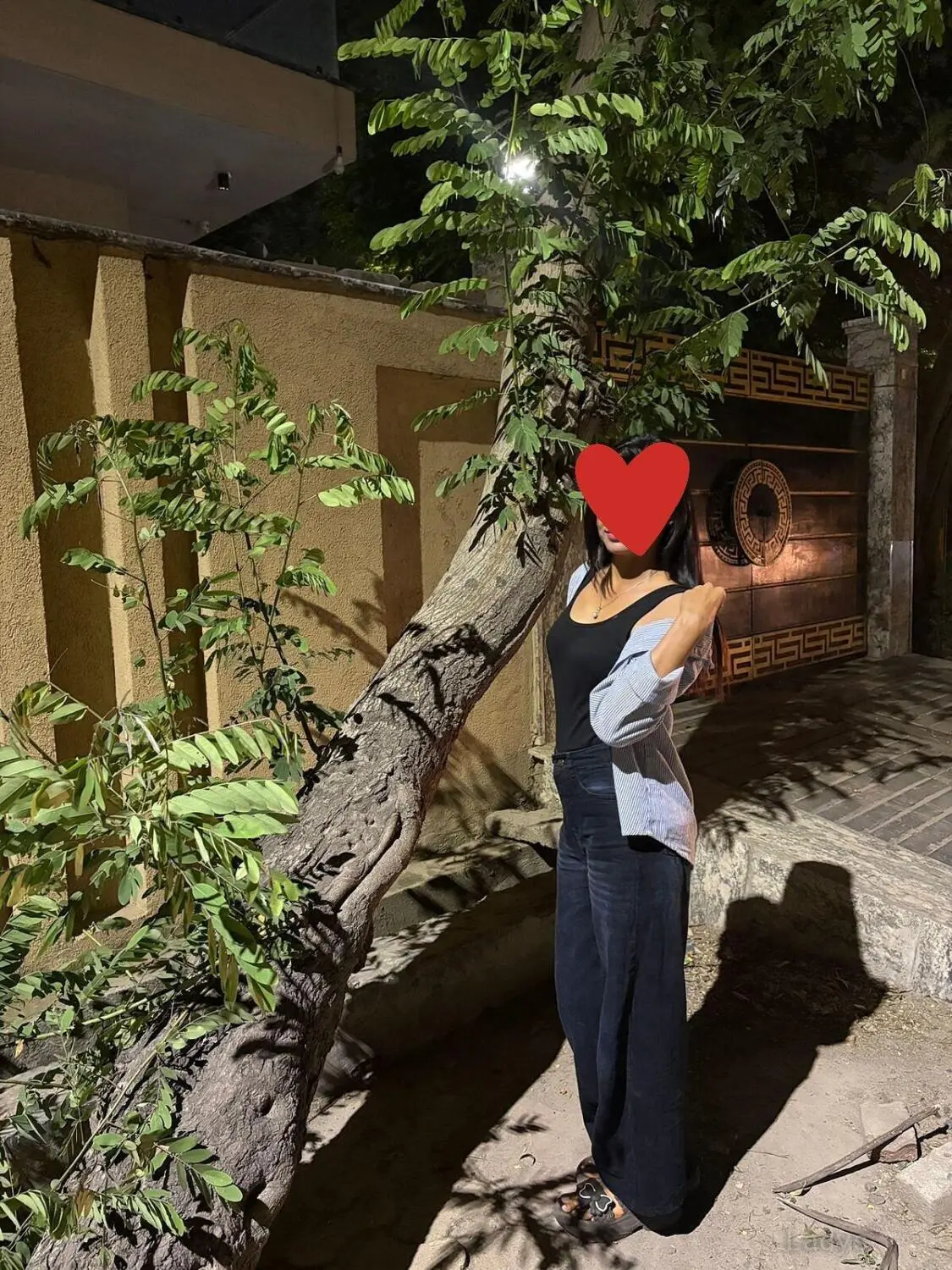 Ashi, 21 years brunette escorts in Noida, height 165 sm, Weight kg