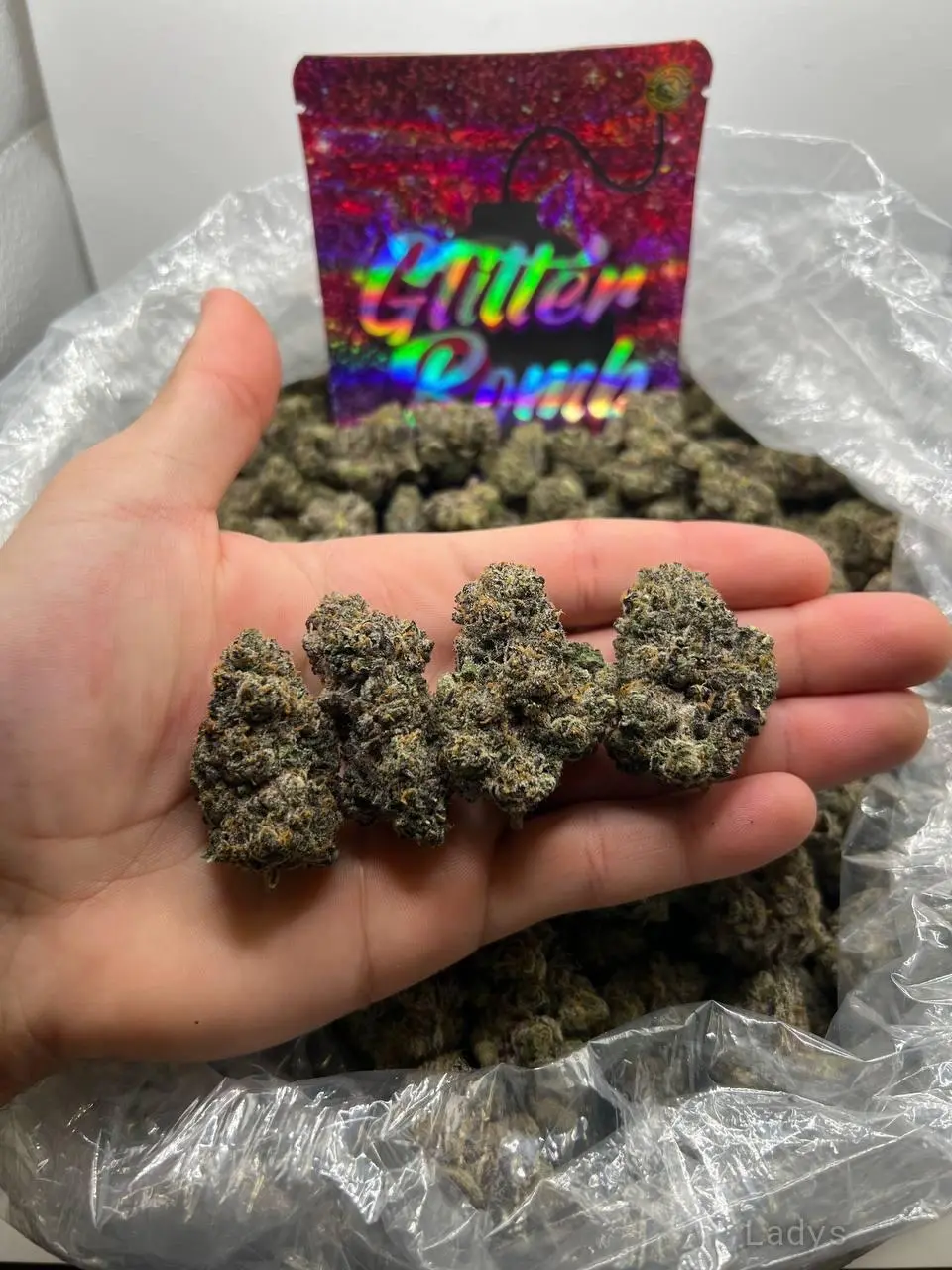 COKE BUD CRYSTAL MDMA LSD GUN EVEN MORE, 30 years brunette escorts in Sydney, height 155 sm, Weight 45 kg
