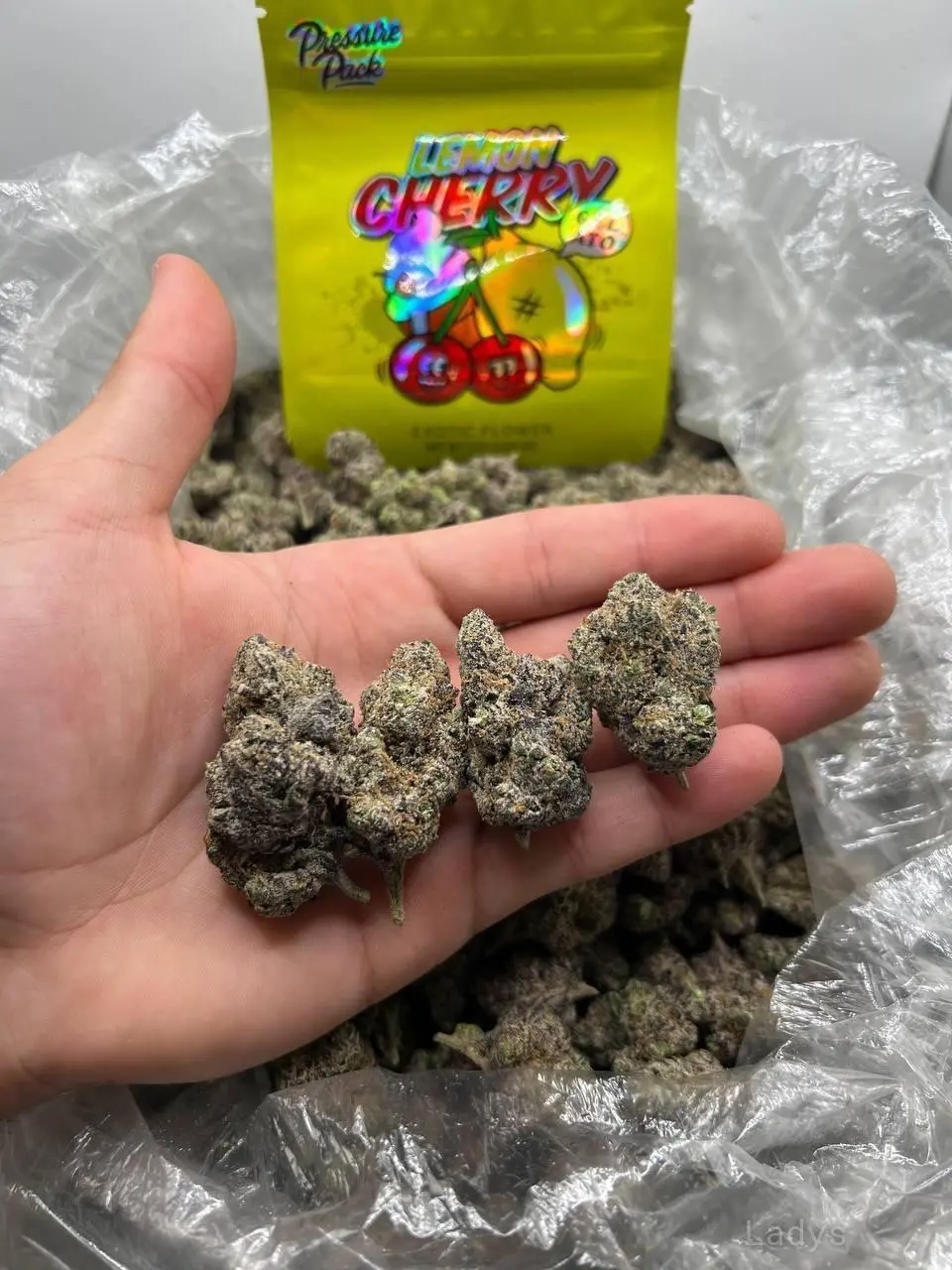 COKE BUD CRYSTAL MDMA LSD GUN EVEN MORE, 30 years old Helsinki escort girl with big tits, height 155 sm, Weight 45 kg