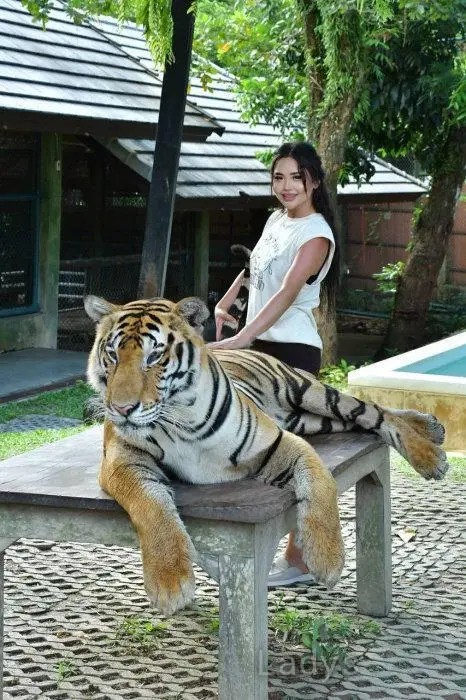 Jade, 28 years old Hong Kong escort girl with big tits, height 160 sm, Weight 44 kg