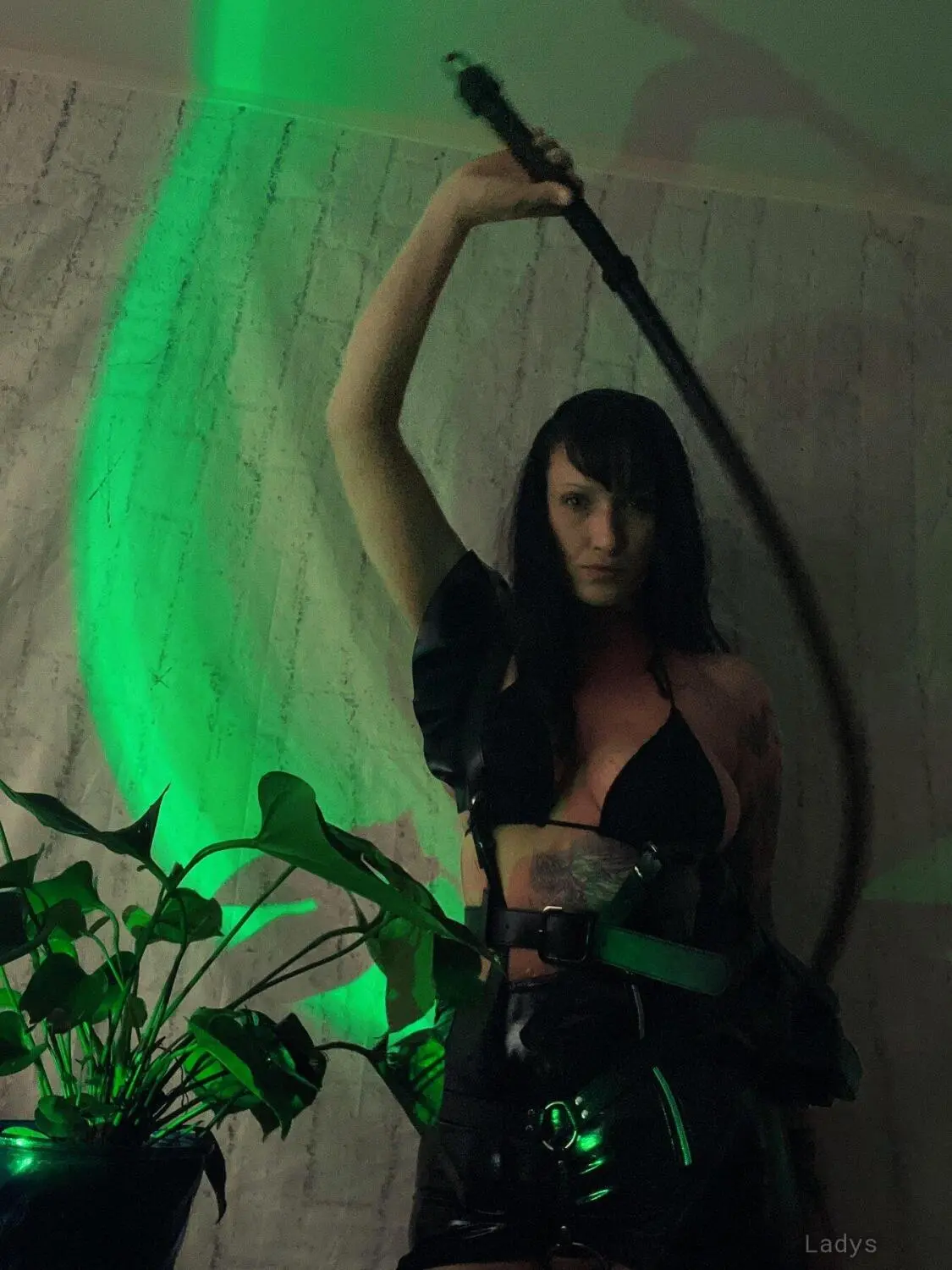 Madam Rabbit, 37 years latina escorts girl, height 177 sm, Weight  kg, listcrawler Vancouver